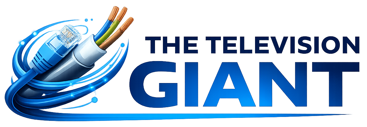 THE TELEVISION GIANT LTD